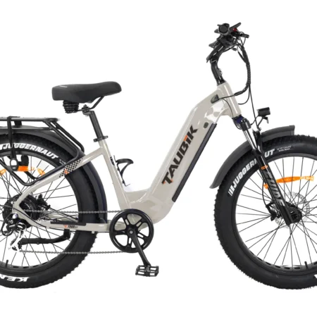Taubik Tour 2025 (Taupe)